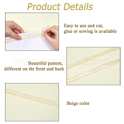 Ruban de polyester&nbsp;OCOR-WH0078-378A