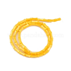 Naturali di acqua dolce perline shell fili&nbsp;SHEL-G013-01J