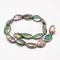 Natur Paua Muschel Perlen Stränge&nbsp;BSHE-D009-A