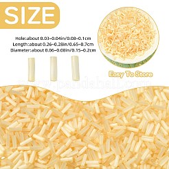 Perline di vetro da 50 g&nbsp;SEED-SZ0001-024G