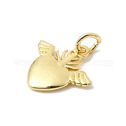 Pendentifs en laiton&nbsp;KK-P343-08A-G