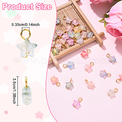 30pcs pendentifs acryliques&nbsp;PALLOY-YW00062-01
