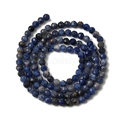 Chapelets de perles en sodalite naturelle&nbsp;G-L653-B02-3mm-03