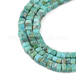Natur hubei türkisfarbenen Perlen Stränge&nbsp;G-G271-G05-1x1.5mm