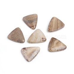 Natürliches Bild Jaspis Perlen, oben gebohrte Perlen, Dreieck, 28.5x25~25.5x5.5~6 mm, Bohrung: 1 mm
