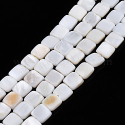 Natural Freshwater Shell Beads Strands, Square, 8x8x3mm, Hole: 0.9mm, about 48pcs/strand, 15.16 inch(38.5cm)