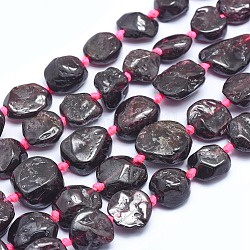 Chapelets de perles de grenat naturel, pépites, 10~20x11~15x4~8mm, Trou: 1mm, Environ 28~29 pcs/chapelet, 16.3 pouce (41.5 cm)