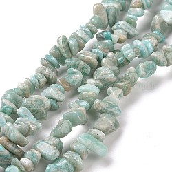Amazonite naturelle perles de puce brins, 5~8x5~8mm, Trou: 1mm, environ 31 pouce