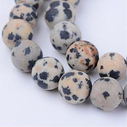 Chapelets de perles en jaspe dalmatien naturelle, mat, ronde, 6~6.5mm, Trou: 1mm, Environ 58~61 pcs/chapelet, 15.5 pouce