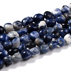 Chapelets de perles en sodalite naturelle, pépites, pierre roulée, 8~11x7.5~9x4.5~7mm, Trou: 0.8mm, Environ 42 pcs/chapelet, 15.94'' (40.5 cm)
