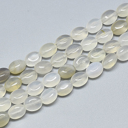 Bianco naturale agata fili di perline, ovale, 8x6x4mm, Foro: 1 mm, circa 49~50pcs/filo, 14.5 pollice~14.7 pollici