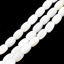 Eau douce naturelle de coquillage perles brins, ovale, couleur de coquillage, 7x5mm, Trou: 0.9mm, Environ 55 pcs/chapelet, 14.96~15.55'' (38~39.5 cm)