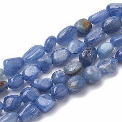 Chapelets de perles en cyanite / cyanite / divalent naturel, pierre roulée, pépites, 6~11x5~7x3~5mm, Trou: 1mm, Environ 51 pcs/chapelet, 15.7 pouce