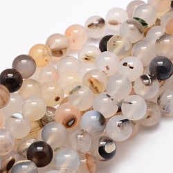 Fili di perline agata naturale rotondo, 8mm, Foro: 1 mm, circa 48pcs/filo, 14.9 pollice