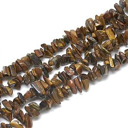 Natürlichen Tigerauge Perlen Stränge, Chip, 3~11x3~5x1~4 mm, Bohrung: 1 mm, ca. 380~400 Stk. / Strang, 33 Zoll