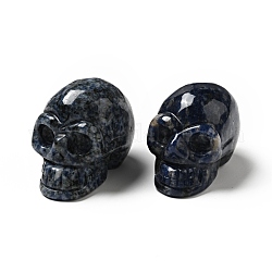 Decoraciones de exhibición de jaspe de punto azul natural de halloween, Decoraciones para el hogar, cráneo, 35~37x30~31x48~50.5mm