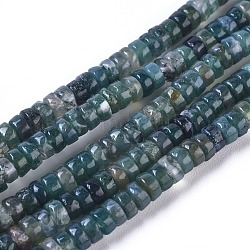Chapelets de perles en agate mousse naturelle, Plat rond / disque, 4.5~5x2~2.5mm, Trou: 0.6mm, Environ 171 pcs/chapelet, 15.35 pouce ~ 15.55 pouces (39~39.5 cm)
