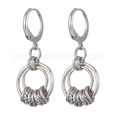 304 Stainless Steel Leverback Earrings for Women EJEW-JE05530-1
