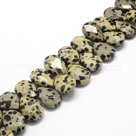Zèbre naturel brins jaspe de perles G-UK0006-06FF-1