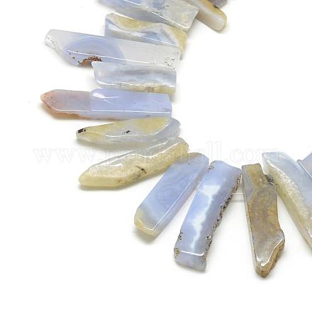 Natural Blue Lace Agate Beads Strands G-R419-17-1