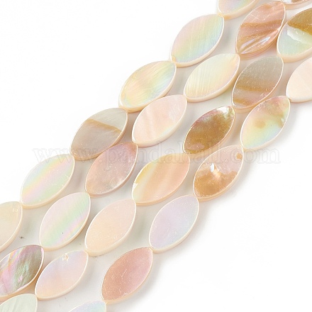 Eau douce naturelle de coquillage perles brins X-SHEL-T009-22-1