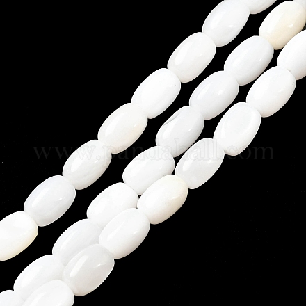 Eau douce naturelle de coquillage perles brins SHEL-R129-02-1