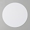 PP Plastic Sheets, DIY Craft Supplies, Lampshade Diffuser, Flat Round, White, 127x1mm