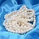 Chapelets de perles ronde de coquillage de couleur AB BSHE-L011-8mm-C001-2