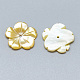 Perles de coquillage jaune SSHEL-S260-063-2