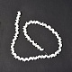 Chapelets de perles de coquille de trochid / trochus coquille SSHEL-N032-25A-3