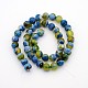 Natural Weathered Agate Faceted Round Beads Strands G-A134-02C-6mm-3