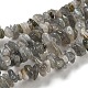 Labradorite naturelle brins puce de perles G-M205-13-2
