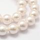 Cuentas perlas de concha de perla BSHE-L026-03-16mm-3