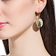 Stunning Zinc Alloy Dangle Earrings EJEW-BB18397-01-6