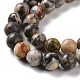 Natural Map Stone/Picasso Stone/Picasso Jasper Beads Strands G-D481-09-4