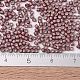 MIYUKI Delica Beads SEED-J020-DB1167-4