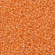 Perles rocailles miyuki rondes X-SEED-G007-RR0165-3