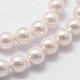 Shell Pearl Beads Strands BSHE-L025-01-6mm-3