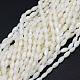 Brins de perles de coquillage naturel teint X-BSHE-E023-01C-1