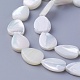Chapelets de perles de coquillage SSHEL-E571-23A-1
