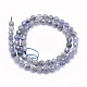 Perles naturelles Iolite brins G-O166-12-6mm-2
