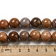 Natural Petrified Wood Round Bead Strands G-F266-08-12mm-6