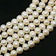 Natural Cultured Freshwater Pearl Beads Strands PEAR-N002-03B-3