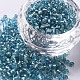 8/0 Glass Seed Beads SEED-A005-3mm-23-1