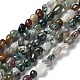 Natural Indian Agate Beads Strands G-P497-01A-05-1