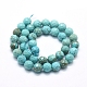 Natural Howlite Beads Strands X-G-D0012-01D-2