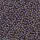 Toho perles de rocaille rondes SEED-JPTR11-0926-2