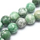 Natur Qinghai Jade Perlen Stränge X-G-I254-06A-1