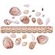 CHGCRAFT 1 Box Mixed Ocean Sea Shells Natural Seashells Spiral Shell Beads with Holes for Jewelry Making BSHE-PH0003-04-3