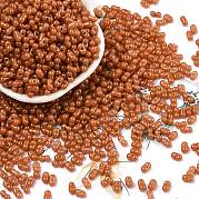 Выпечка краска стеклянные бусины SEED-L011-09A-25